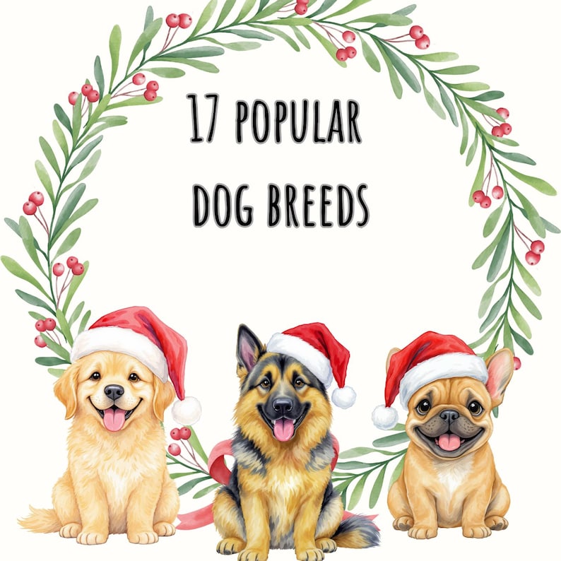 May include: A festive watercolour illustration showcasing three dog breeds adorned with Santa hats. A Golden Retriever, a German Shepherd, and a French Bulldog are featured. The image is encircled by a green wreath with red berries, and the text reads "17 Popular Dog Breeds."