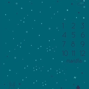 Könnte beinhalten: Eine babyblaue Baby-Meilenstein-Decke mit einem weißen Hasen, einem Kiefernbaum und einem Halbmond mit Sternen. Die Zahlen 1 bis 12 sind auf der Decke aufgedruckt, zusammen mit dem Wort "Monate".