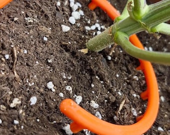 Anel de Irrigação para Plantas - Auxílio de Irrigação Automática para Rega Uniforme - Ferramenta de Jardim para Ambientes Internos e Externos, Ideal para Vasos e Canteiros Elevados