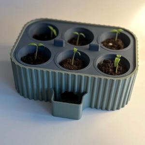 Pode incluir: Uma bandeja de mudas azul clara de seis células com plantas jovens. A bandeja tem um exterior canelado e uma pequena alça. Cada célula contém terra e uma pequena planta verde. A bandeja foi projetada para iniciar sementes em ambientes fechados.