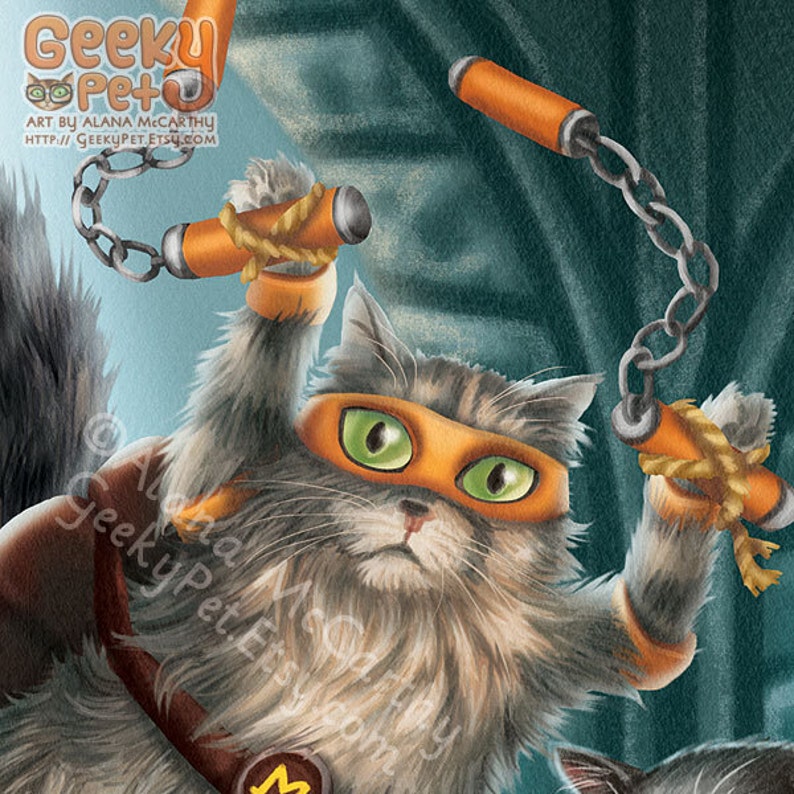 scratch the cat teenage mutant ninja turtles