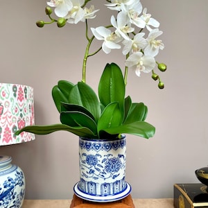 Puede incluir: Una planta de orquídea blanca con hojas verdes en una maceta de cerámica con estampado azul y blanco. La maceta se encuentra sobre un pequeño soporte de madera tallada. La orquídea tiene múltiples flores blancas y capullos verdes.