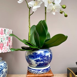 Könnte beinhalten: Eine weiße Orchideenpflanze in einem blau-weißen Keramiktopf mit Landschaftsdesign. Der Topf steht auf einem kleinen, geschnitzten Holzständer. Die Orchidee hat grüne Blätter und zarte weiße Blüten.