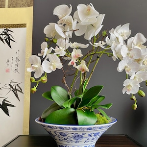 May include: A potted artificial orchid arrangement featuring multiple white flowers with subtle pink centres, green leaves, and stems. The plant is housed in a wide, shallow ceramic bowl decorated with a blue and white floral pattern.