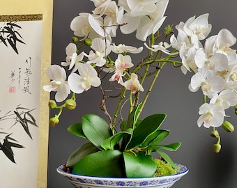 Hand Crafted Blue and White Porcelain Planter Bowl | Wide Chinese Lotus Vine Ceramic Pot | Chinoiserie Decorative Orchid Planter Basin