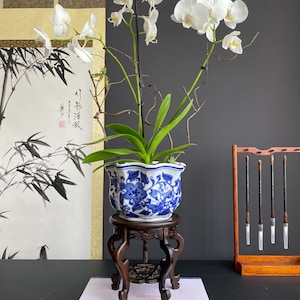 Puede incluir: Una orquídea Phalaenopsis blanca con hojas verdes plantada en una maceta de cerámica azul y blanca con borde festoneado y motivos florales. La maceta descansa sobre un soporte de madera tallada marrón oscuro, colocado sobre un libro blanco.
