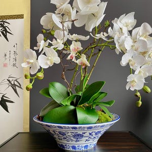 May include: A potted orchid arrangement featuring numerous white phalaenopsis flowers with subtle pink centers, green leaves, and moss, displayed in a wide, flared ceramic bowl decorated with a blue and white floral pattern.