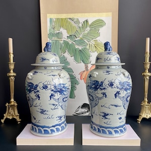 Può includere: Una coppia di vasi da tempio in ceramica blu e bianca con intricati motivi di draghi, disegni di nuvole e onde alla base. Ogni vaso include un coperchio rimovibile sormontato da una piccola figura di leone scolpita e manici laterali.