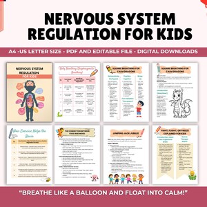 Regulation des Nervensystems für Kinder, Stressbereitschaft für Kinder, Emotionale Regulation für Kinder, Polyvagal-Theorie, Fenster der Toleranz