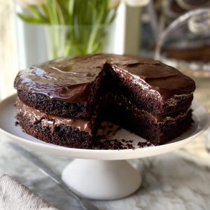 BEST RECIPE For Moist Chocolate Cake | Two-Layer Chocolate Coffee-Infused Cake | Digital Download PDF