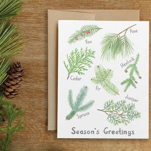 Conifer Holiday Card, Pine Christmas Card, Cedar Christmas, Spruce Christmas, Tree Lover Christmas, Tree Christmas Card, Coniferous Tree