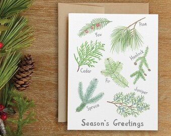 Conifer Holiday Card, Pine Christmas Card, Cedar Christmas, Spruce Christmas, Tree Lover Christmas, Tree Christmas Card, Coniferous Tree