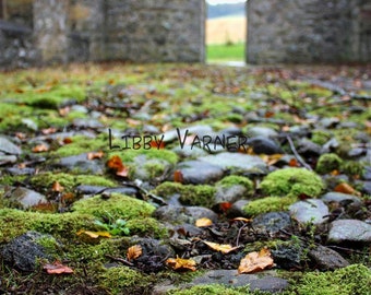 Scottish Moss, Auchindoir Church, Aberdeenshire, Scotland Photograph - Free Shippng in US -