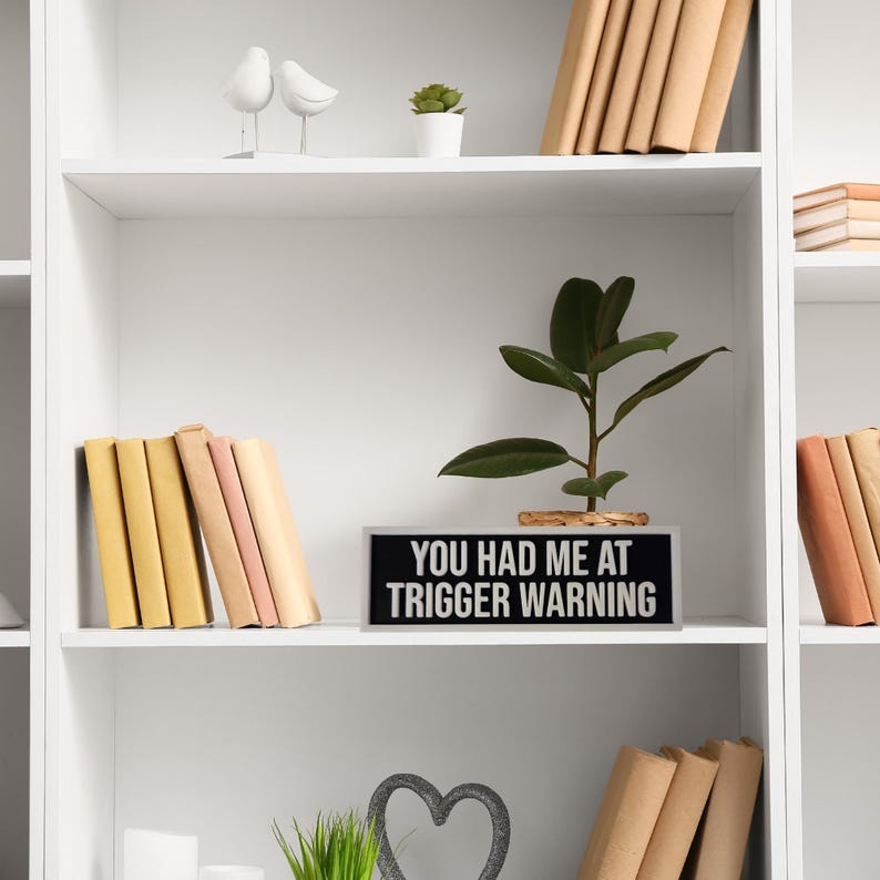 Puede incluir: Una estanter&iacute;a blanca con varios objetos decorativos. Un letrero con el texto "YOU HAD ME AT TRIGGER WARNING" est&aacute; en el estante. Hay libros, una peque&ntilde;a planta y p&aacute;jaros decorativos. El tema general es la decoraci&oacute;n del hogar.