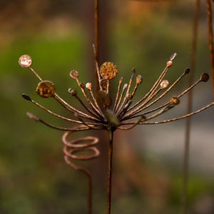 Rustic Metal Flower Garden Stake: Dandelion & Allium Inspired Yard Art.