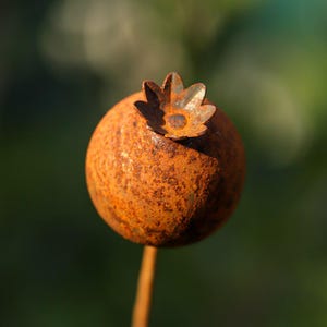 Rustic Rusty Metal Poppy Head Seed Poppies Flower Garden Art Garden Stake Yard Art Sculpture Spring Gift Present