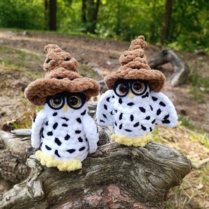 May include: Two handmade crochet owls with white bodies, black spots, and yellow feet. They wear brown, pointed hats and have large, round eyes with glasses. The owls are perched on a weathered log in a natural setting.