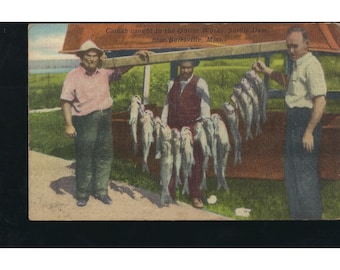 Vintage Sardis Dam Catfish Outlet Works Batesville MS Postcard Used 1954