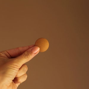 May include: A person's hand holding a round, brown cookie.