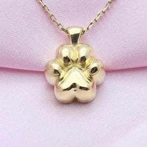 May include: A gold-colored necklace with a paw print pendant. The pendant is a detailed, three-dimensional paw shape. The necklace chain is delicate and gold, set against a pink fabric background.