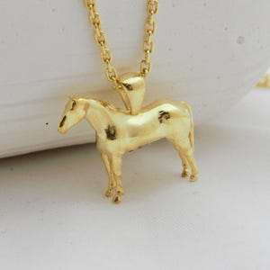 Horse Cremation Necklace - 14K Gold Memorial Urn for Ashes - Pet Loss Keepsake Jewelry - Horse Lover Sympathy Gift