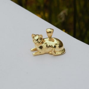 Sterling Silver Cat Cremation Necklace: Pet Ashes Urn Pendant