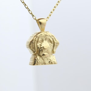 Dog Cremation Necklace – 925 Sterling Silver Pet Memorial Pendant – Ashes Keepsake Jewelry – Pet Loss Gift – Dog Lover Sympathy Necklace