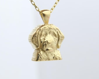 Dog Cremation Necklace – Pet Memorial Ashes Urn Pendant, 925 Silver Keepsake Jewelry