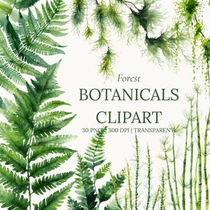 Peut inclure: Illustration à l'aquarelle de botaniques forestières, avec des fougères et d'autres feuillages verts. Le texte "Forest BOTANICALS CLIPART" est affiché en vert foncé. L'image comprend 30 fichiers PNG à 300 DPI avec un fond transparent.