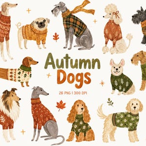 May include: A collection of watercolor illustrations featuring various dog breeds wearing knitted sweaters in autumn colors, accompanied by small leaf and star icons, with the text "Autumn Dogs" and "26 PNG | 300 DPI" centered in the middle.