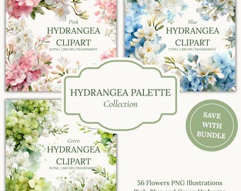 Colección de hortensias en acuarela: composiciones florales en rosa, azul y verde