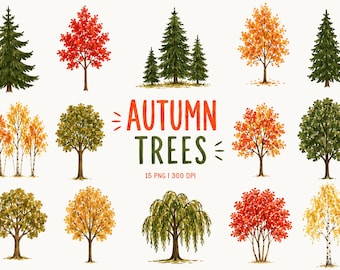 Autumn Trees Clipart, Fall Foliage PNG, Birch Maple Oak & Evergreen Trees, Woodland Nature Clipart, Seasonal Botanical Elements