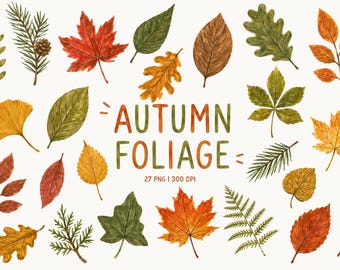 Autumn Foliage Clipart, Fall Leaves PNG, Botanical Journal Clipart, Cottagecore Fall Nature, Woodland Botanical Elements