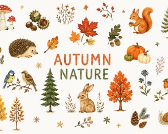 Autumn Woodland Clipart Set, Cozy Fall Forest Animals & Botanical Illustrations, Cottagecore Nature PNG