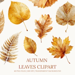 Puede incluir: Clipart de acuarela con varias hojas de otoño en tonos dorados, marrones y amarillos. Las hojas están dispuestas sobre un fondo blanco. El texto en la parte inferior dice "AUTUMN LEAVES CLIPART".