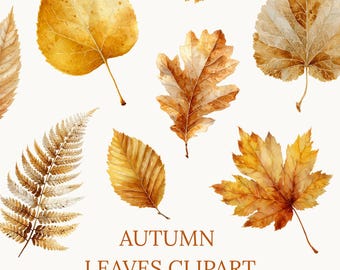 Aquarel herfstbladeren clipartset, herfstgebladerte png (digitale download)