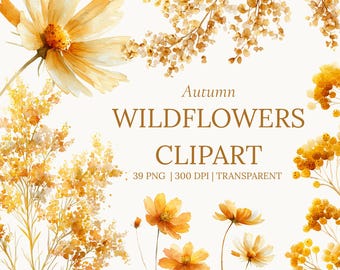 Watercolor Autumn Wildflowers Clipart, Rustic Floral PNG (Digital Download)
