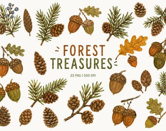 Forest Treasures Clipart, Acorns & Pine Cones PNG, Woodland Botanical Elements, Oak Leaves, Evergreen Branches, Autumn Nature Clipart