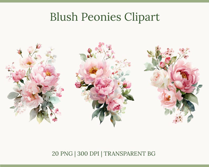 Watercolor Peonies Clipart — Blush Pink Flowers Pngs for Wedding ...