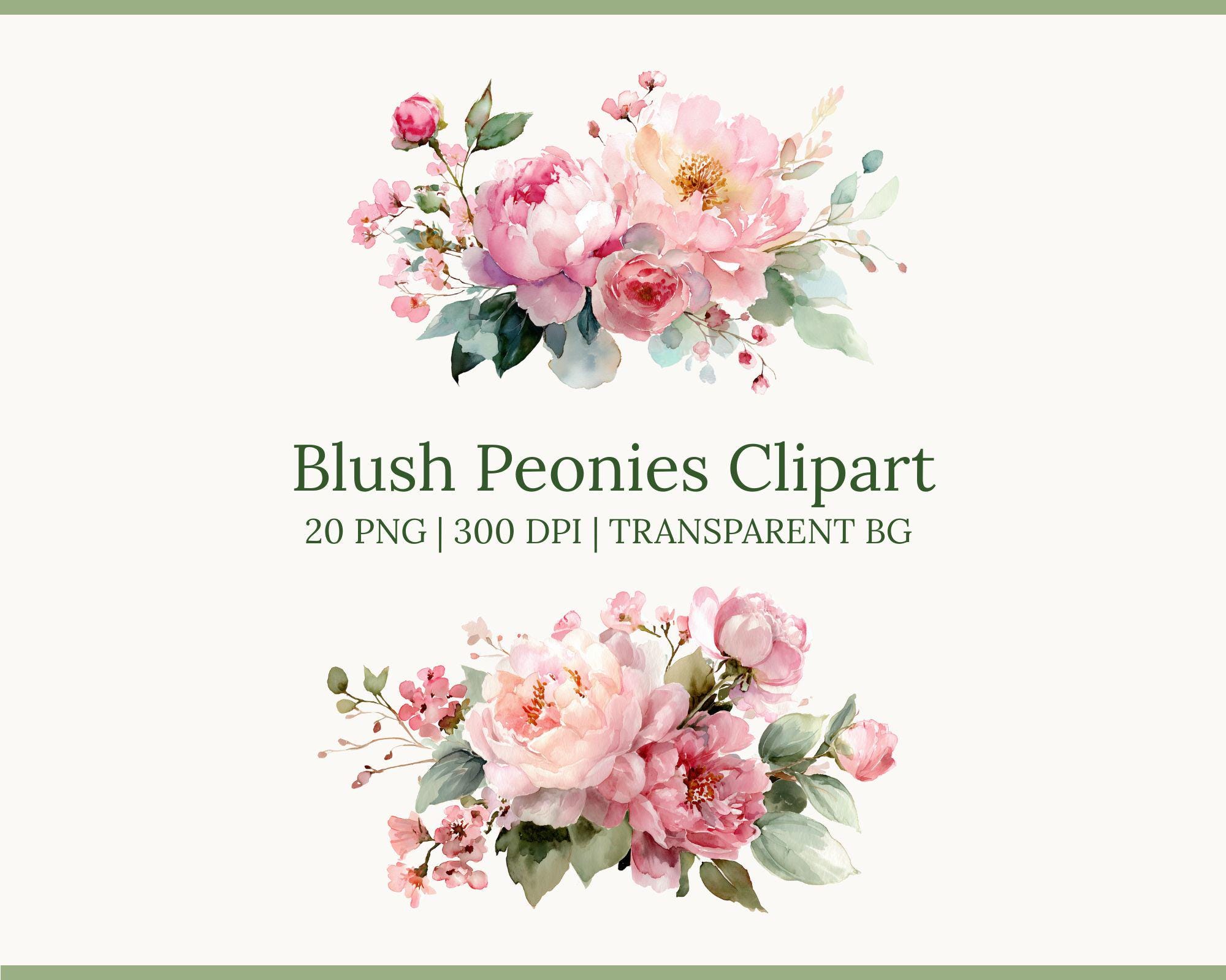 Watercolor Peonies Clipart — Blush Pink Flowers Pngs for Wedding ...
