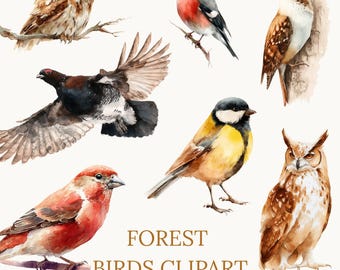 Watercolor Forest Birds Clipart, Woodland Bird PNG Set, Owl Robin Sparrow Bullfinch Titmouse, Rustic Animal Clip Art, Digital Download
