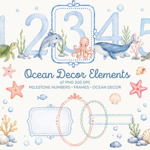 May include: A digital collection of watercolour ocean-themed illustrations featuring numbers one through five, a sea turtle, dolphin, octopus, whale, and seal. Includes various coral, seashells, bubbles, and decorative frames with the text Ocean Decor Elements.