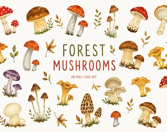 Forest Mushroom Clipart, Woodland Fungi PNG, Cottagecore Autumn Foraging, Amanita Porcini Chanterelle, Botanical Journal Elements