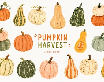 Pumpkin Harvest Clipart, Autumn Pumpkin & Gourd PNG, Fall Harvest Botanical Elements, Cottagecore Fall Clipart, Seasonal Pumpkin Collection