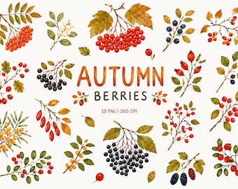 Autumn Berries Clipart, Fall Berry Branches PNG, Woodland Botanical Elements, Rowan Rosehip & Wild Berries, Herbarium Clipart