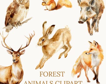 Forest Animals Clipart, Woodland Watercolor Animal PNG, Deer, Fox, Owl, Squirrel, Rabbit, Boar, Autumn Woodland Wildlife, Digital Download