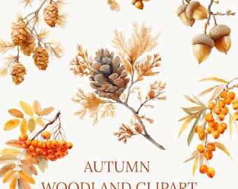 Autumn Woodland Clipart, Watercolor Acorns Berries Pinecones PNG Set, Fall Nature Clip Art for Scrapbooking, Crafts, Invites