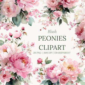 Peut inclure: Illustration à l'aquarelle de pivoines rose blush et de délicates fleurs. L'image comprend le texte "Blush PEONIES CLIPART" avec des détails sur le nombre de fichiers PNG, DPI et la transparence.