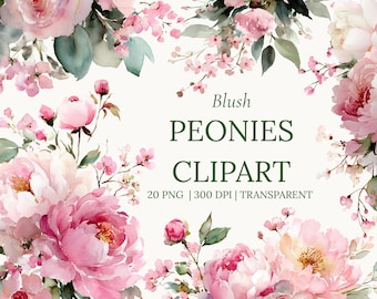 Watercolor Peonies Clipart — Blush Pink Flowers PNGs for Wedding Stationery & Scrapbooking