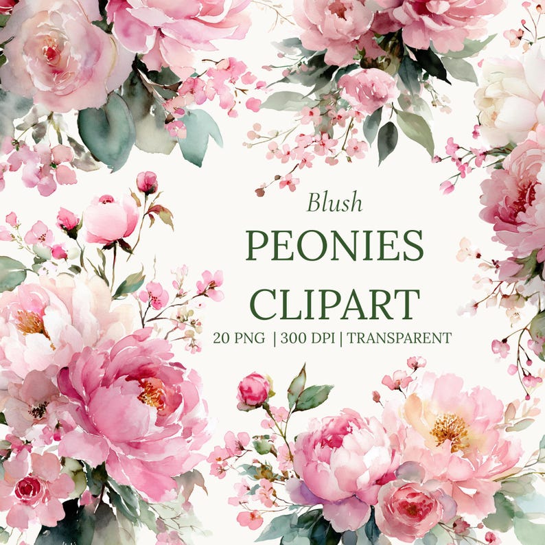 Watercolor Peonies Clipart — Blush Pink Flowers Pngs for Wedding ...